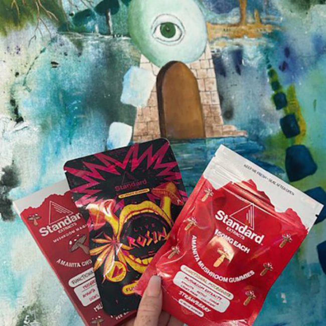 Standard mushroom products held against a dreamlike painted mural