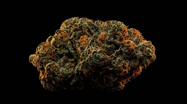 OG Kush cannabis bud