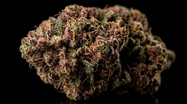 Strawberry Alien Kush cannabis bud