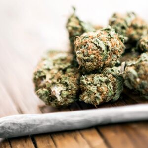 2022_cannabis_studies