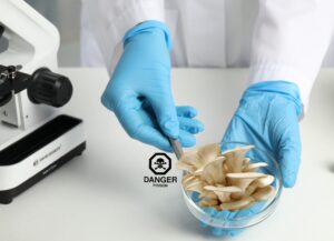 poisonous-plate copy