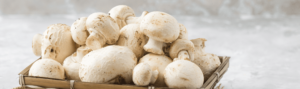 white-button-mushrooms