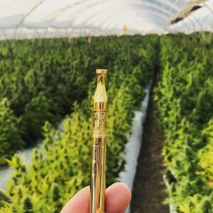 THC-A Blend Gold Cartridges - 1 Gram