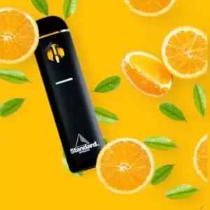 Photo-Mar-04-2023-1-46-25-PM