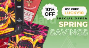 standard-2560-760-spring (2560 x 1400 px) (1)