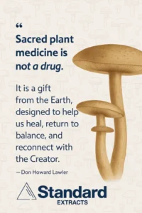 Sacred Plant Medicine