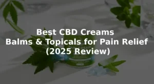 Best CBD Creams