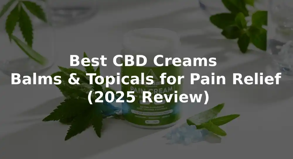 Best CBD Creams