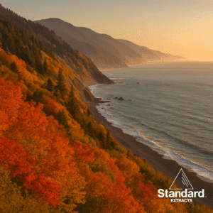 Lost Coast Humboldt CA in October