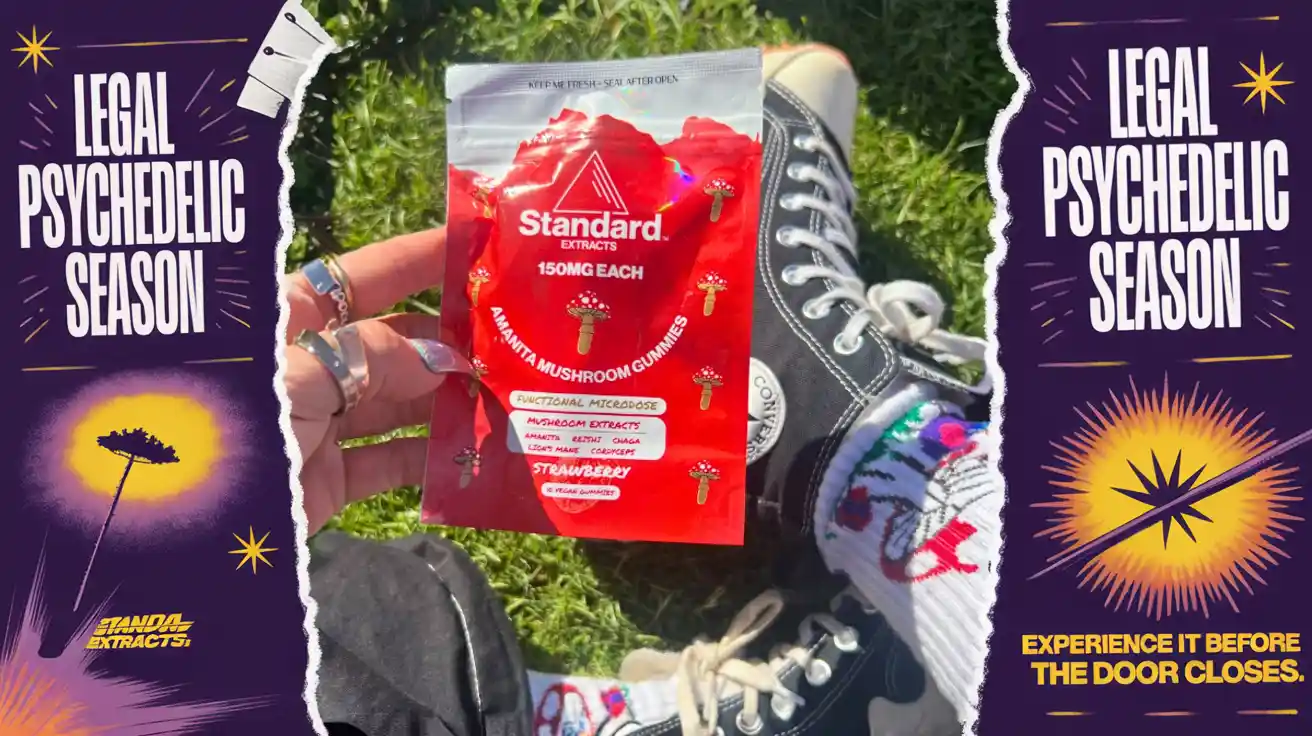 legal psychedelic season