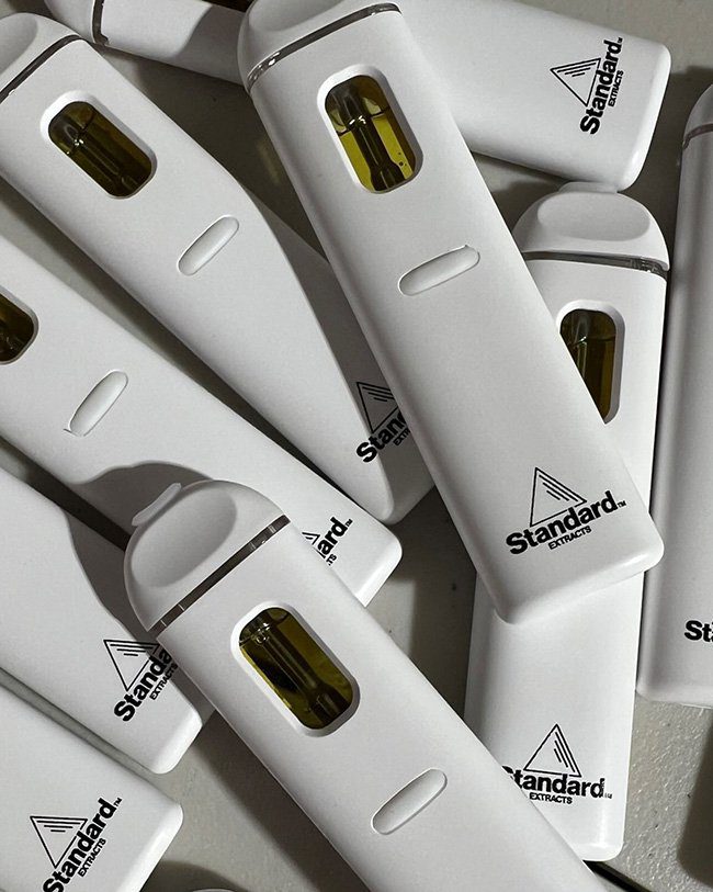 All in 1 disposable Vape