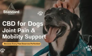 CBD for Dogs