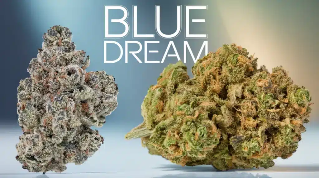 blue-dream