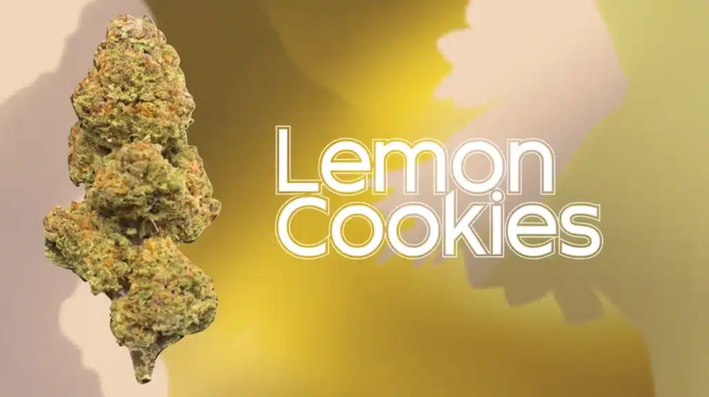 lemon-cookies