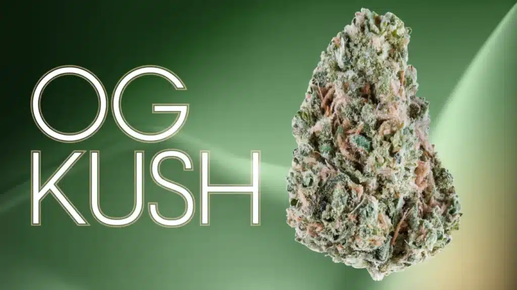 og-kush-v1