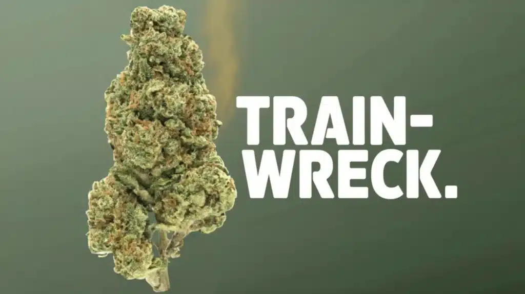 trainwreck-v1